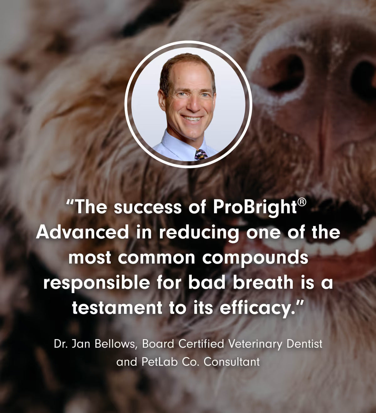 ProBright® Advanced Dog Dental Powder