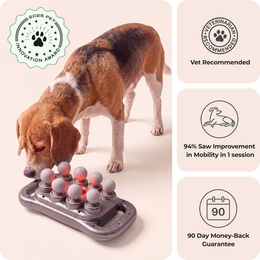 A beagle dog uses a pet massage toy on the floor in a studio setting. The right side of the image contains three informational panels with text: 'Vet Recommended,' '99% Saw Improvement in Mobility in 3 Months,' and '90 Day Money-Back Guarantee.