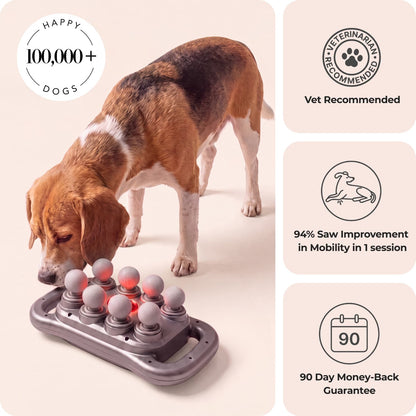 A beagle dog uses the Paws Paws Massager on the floor in a studio setting. The right side of the image contains three informational panels with text: 'Vet Recommended,' '99% Saw Improvement in Mobility in 3 Months,' and '90 Day Money-Back Guarantee.