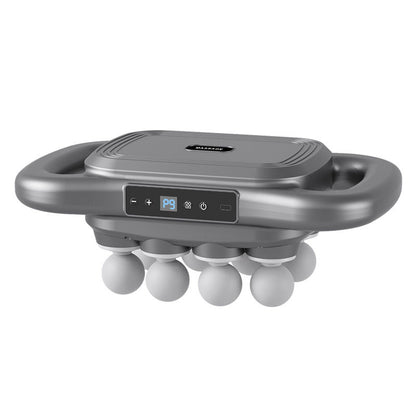 Paws Paws Massager