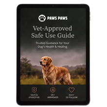 Vet-Approved Guide